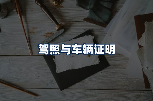 车辆证明展示