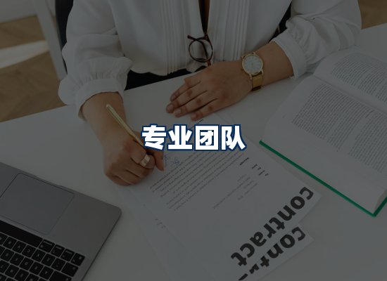 专业团队